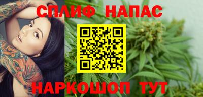 шишки Апшеронск