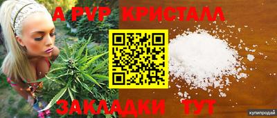 шишки Апшеронск